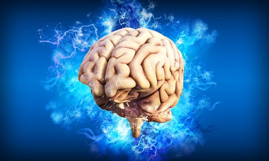 Air filtration experts explain the effects of air pollution on the brain.