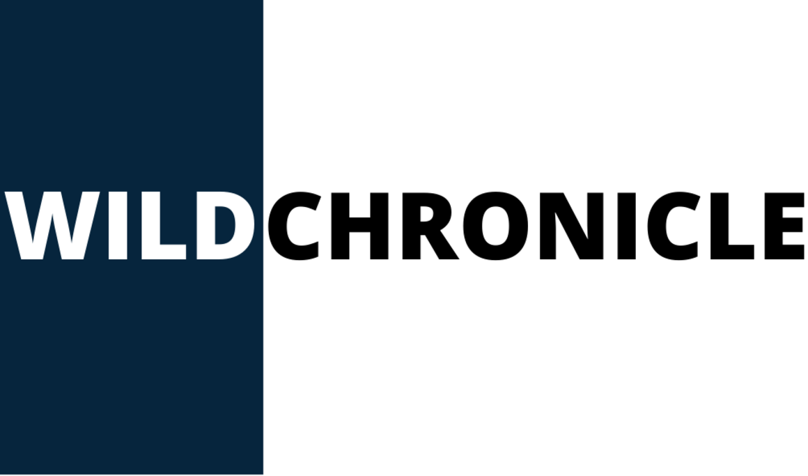 The Wild Chronicle online media magazine was inaugurated by love India mission trust (LIMt) in Bengaluru.