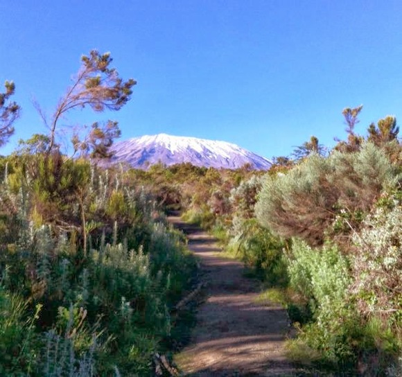 How to prepare for summertime trekking on Mt. Kilimanjaro - Zara Tours
