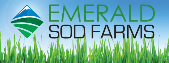 Emerald Sod Farms Features Their Distinguished Sod Blends on Newly Launched Webpages