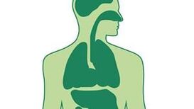 How To Reduce Indoor Air Pollution – Camfil Update