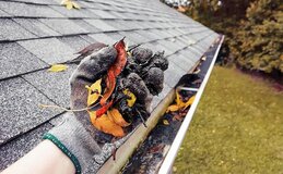 Southeast Gutter Cleaning