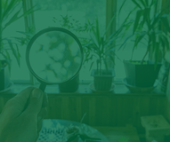 As Global Outdoor Air Quality Improves, So Does Commercial Indoor Air Quality.