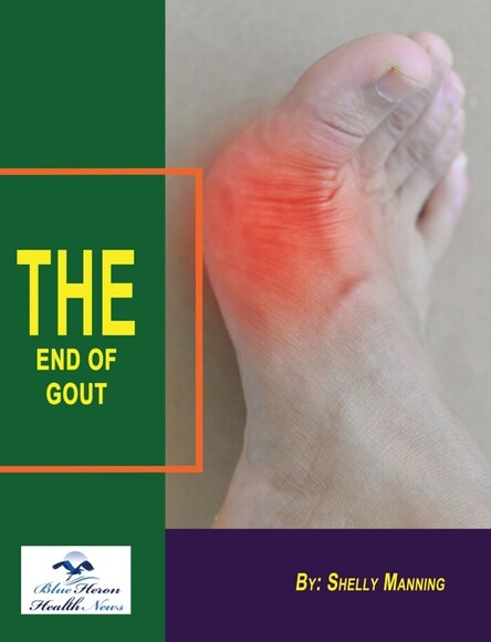 Shelly Manning The End Of Gout Book 