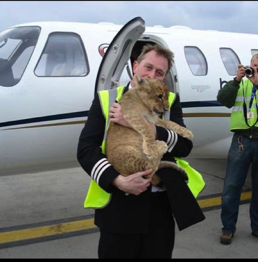 Ex DVLA CEO Oliver Morley Reveals the Thrilling Story Behind Saving Three Lions in 2012