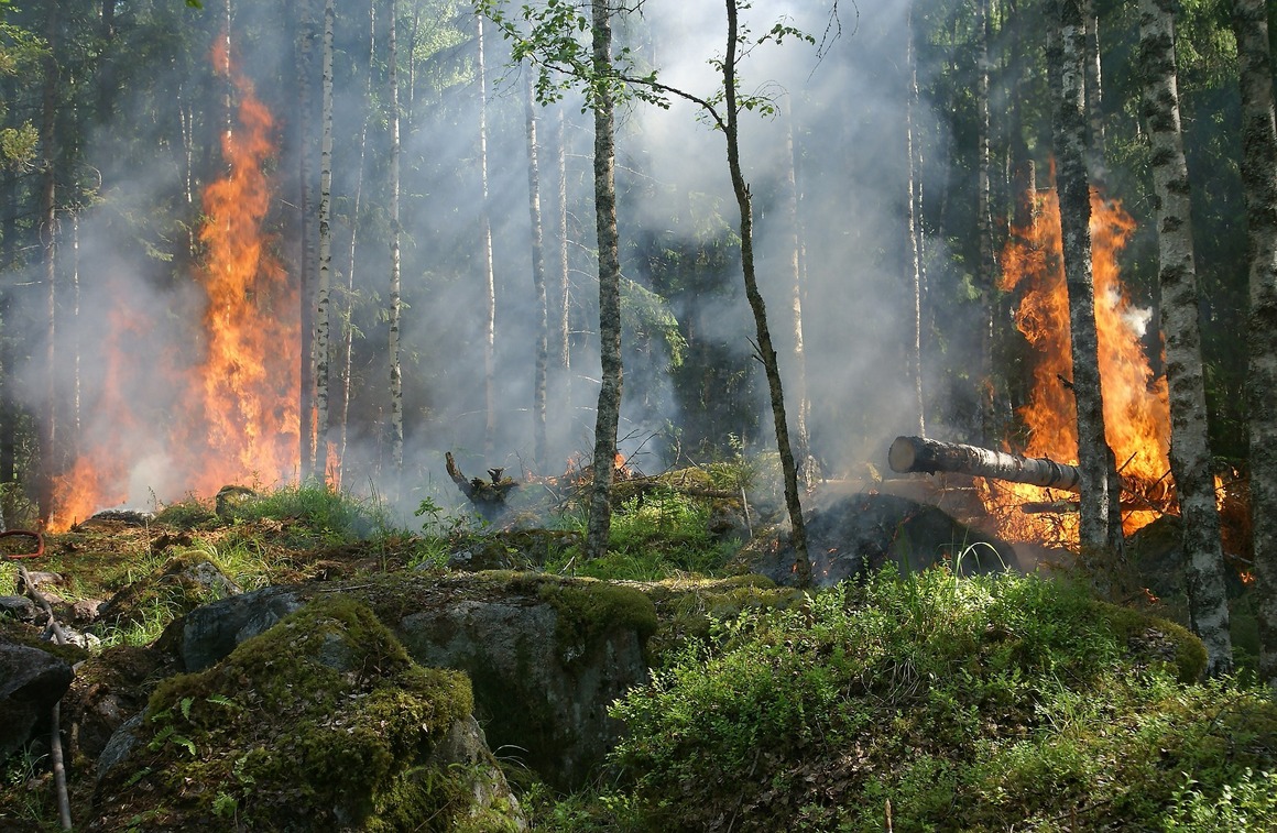 California's Fire Season Turning Worst - 700% Higher Than Last Year, Over 13,000 Plus Acres Have Burned