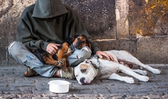 Homeless Citizens and their pets