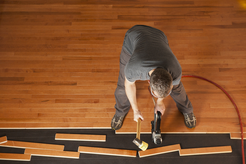 Flooring Liquidators Recommends 2 Best Flooring Options For Pet Owners