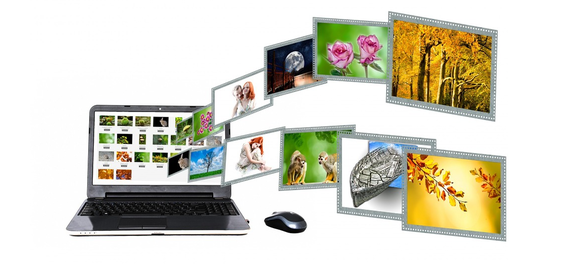 A Detailed Comparison of Top Reverse Image Search Tools - Reverse Image Search