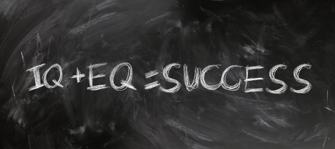 Emotional Quotient | The Most Significant Value Addition to a Brand