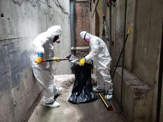 Professional Mold Removal in Mission Viejo with Initial Mold Inspection at No Cost