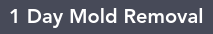 1 Day Mold Removal San Diego Announces No Obligation Consultation