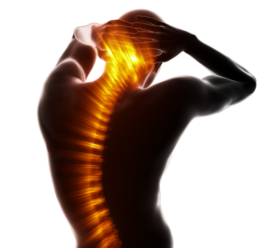Pro Active Chiropractic Center Announces New Treatments for Whiplash