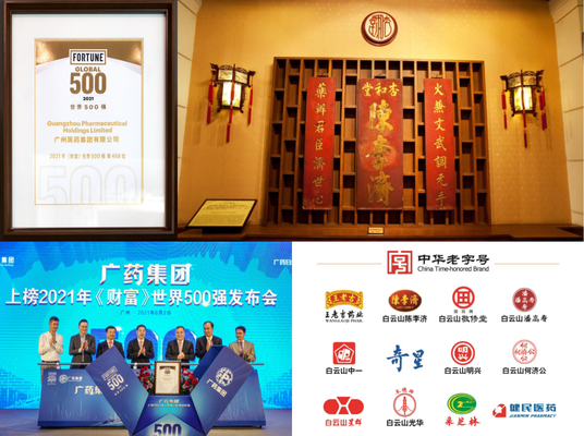 Guangzhou Pharmaceutical Holdings Limited Enters Fortune Global 500