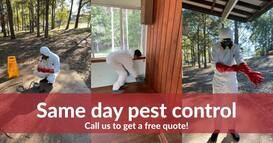 True Pest Control Melbourne, Australia