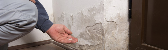 Power Pro Remediation Offers Guidance And Assistance For IDA Recovery In New Orleans