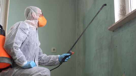 Disaster Services San Tan Valley Provides Free Inspection Services across Phoenix Metro Area