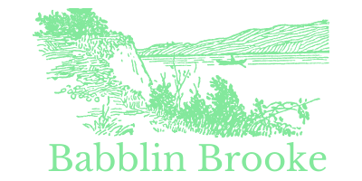 Babbling Brooke, Wellness Blogger Announces Launch of New Website