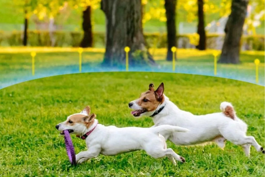 Pet Guide Launches New Site for Reviews and Guides