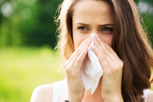 New Study Data Shows Climate Change Is Making Allergy Season Worse - Camfil Clean Air Solutions