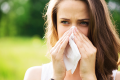 New Study Data Shows Climate Change Is Making Allergy Season Worse