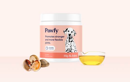 Pawfy Raises The Bar For Healthy Pet Treat Formulations