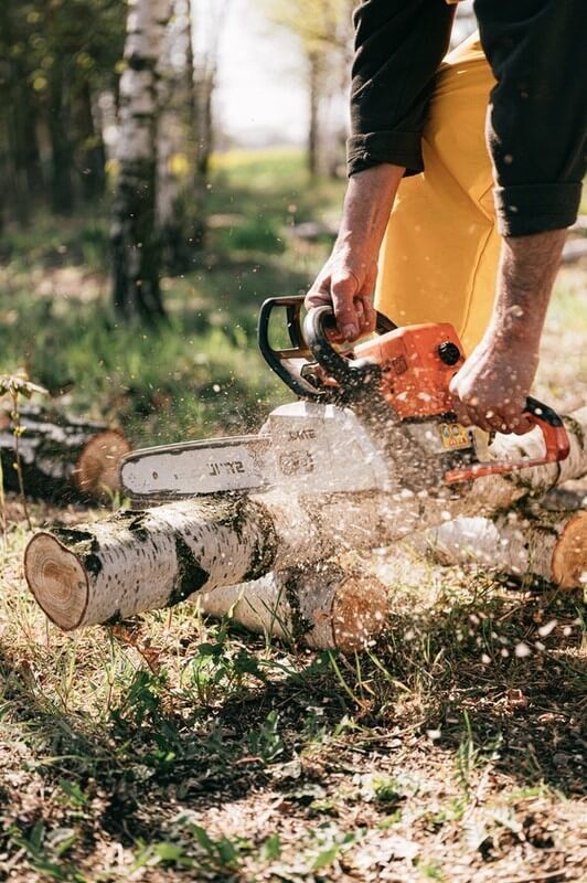 Bothell Tree Service Expands Is Wide Range Of Maintenance And Tree Services