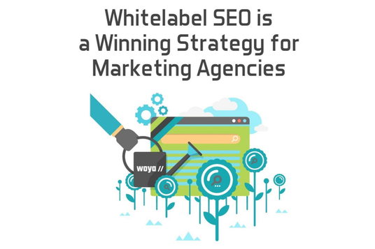 SEO Agency Expand White Label SEO Services After Initial Success