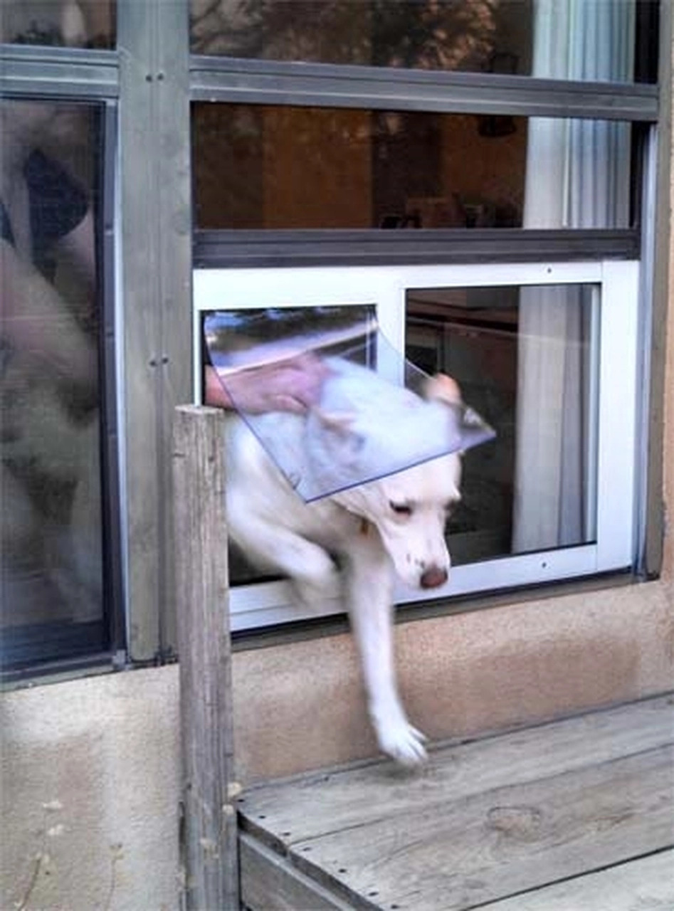 Moore Pet Supply Launches a New Line of Freestanding Pet Gate with Doors