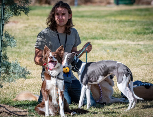 Oliver Dog Training Center Now Includes Distance Learning Dog Training via Zoom with In-Person Local Training