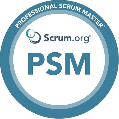 Rebel Scrum Launches the Best Scrum Master Course – Official Announcement