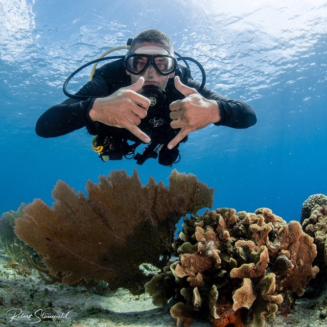 A diver’s guide to Cozumel
