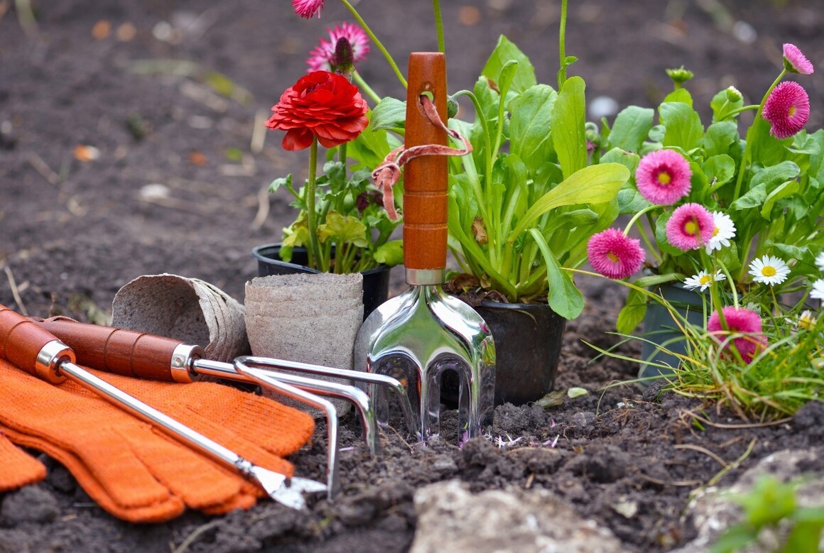 AK Kin Garden Supplies 