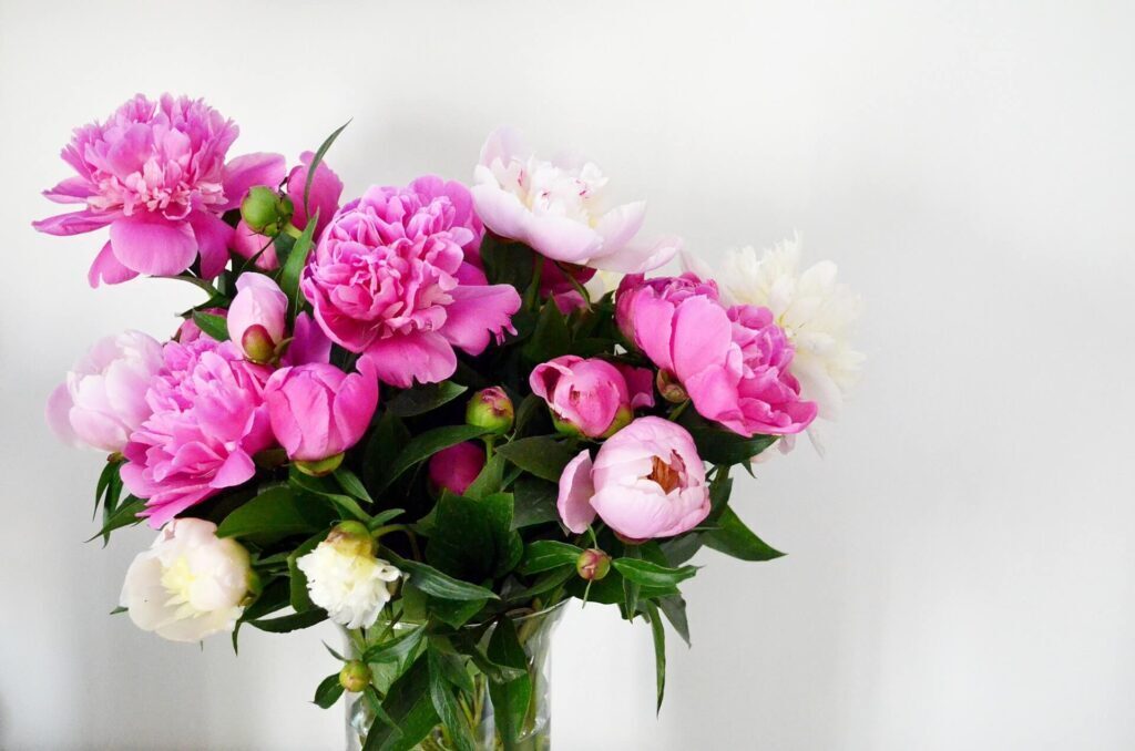 Nordiska Blombud Adapts Website To Enhance Accessibility  