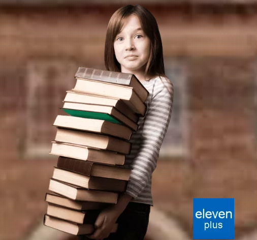 The Eleven Plus Tutors In Colchester Now Offers Tuition Services In Colchester