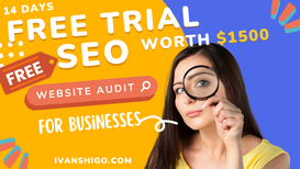 Free SEO Services worth $1500