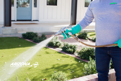 arizona termite and pest solutions