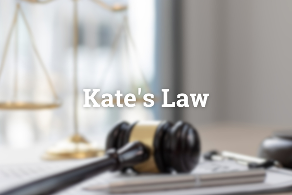 What is Kate's Law, and how does it affect penalties for illegal reentry?