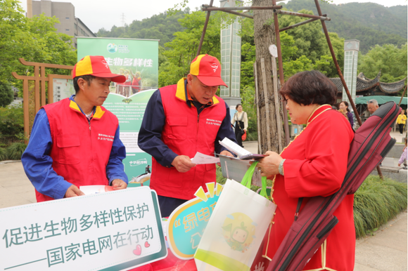 State Grid Taizhou Power Supply Company: Listen to “Nature Story”  and Appreciate the Charm of Biodiversity