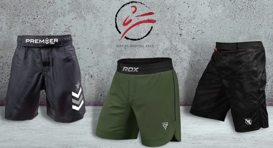 Way of Martial Arts Provides In-Depth Expert Guide on MMA Gear and BJJ Gear