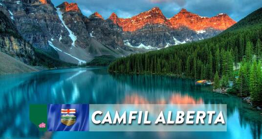 The Best Air Filters in Alberta Canada - 2024 Resource