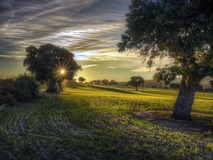 EvenMix Explains the Technology Behind Their Versatile Mixers 