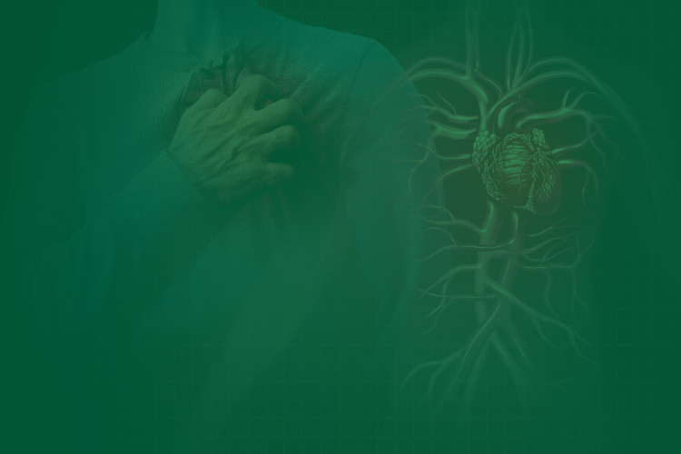 New Study Links Heart Attack Deaths to Particulate Matter Exposure, Camfil Air Quality Professionals Explain