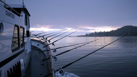 Epic Westport Fishing Charters Expands Services for Upcoming Charter Season