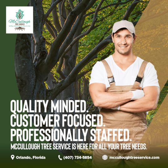 McCullough Tree Service: Wide Range of Services from Orlando Arborists
