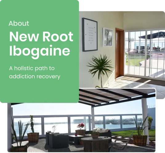 New Roots Ibogaine Helps Address PTSD and Depression With Holistic Ibogaine Treatment