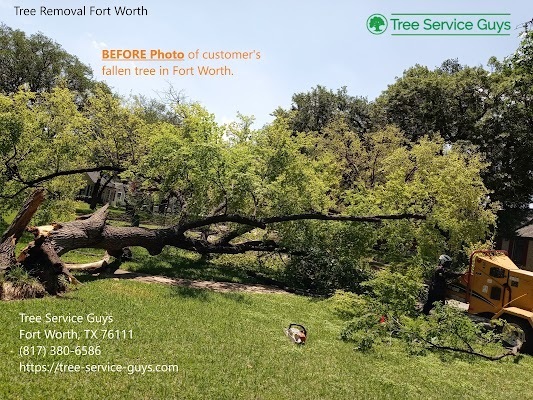 Tree Service Guys Offers Tree Services in Saginaw, TX