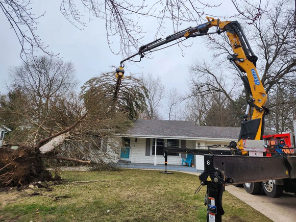 Tree Wise Men LLC Launches Tree Care Services in Janesville, WI