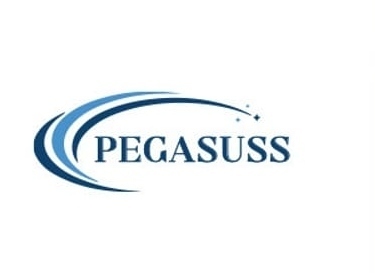 PEGASUSS: A New Player for Everyday Technology Products