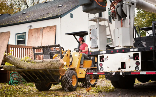 Waco Tree Services Introduces Complete Tree Care Solutions in Waco, TX